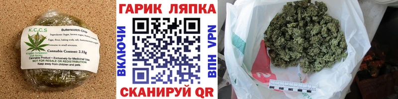 Купить закладки  Шимановск  Печенье с ТГК конопля 
