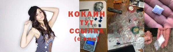 эйфоретик Каменка
