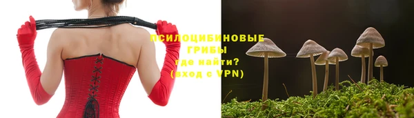 эйфоретик Каменка