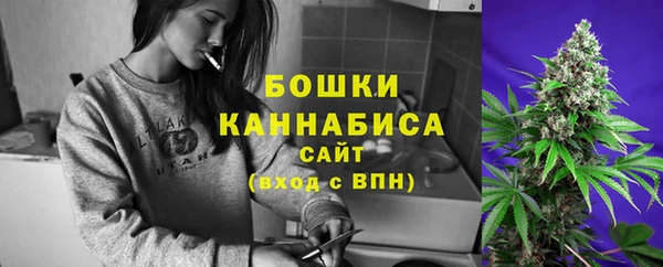 эйфоретик Каменка