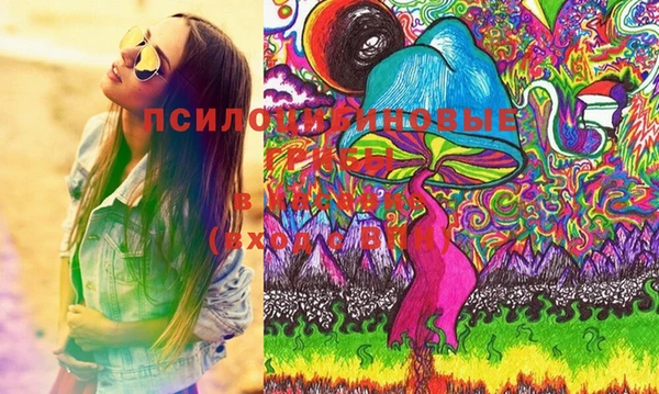 мяу мяу мука Каменногорск