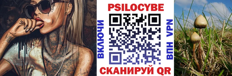 Купить где  Шимановск  Псилоцибиновые грибы MAGIC MUSHROOMS 